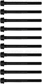 REINZ 14-32191-01 Cylinder head bolt set kaina