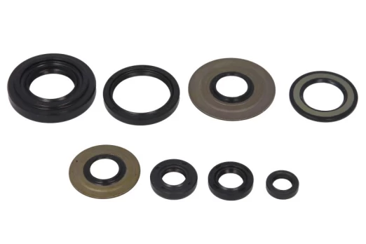 Engine gaskets set WINDEROSA