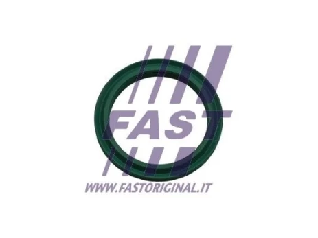 Tarpiklis, turbinos oro žarna FAST FT48933