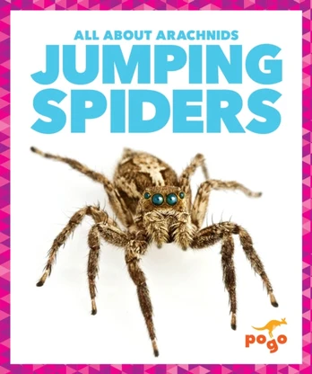 Jumping Spiders