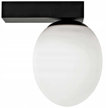 Sieninis šviestuvas Nowodvorski ICE EGG C 8132
