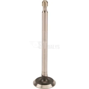 Išmetimo vožtuvas