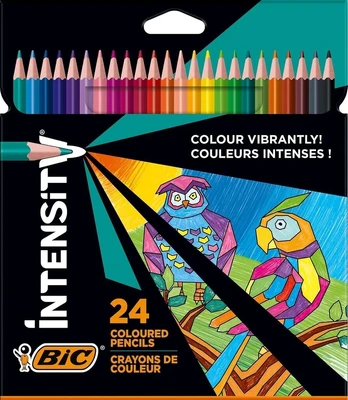 Art & Fun Bic spalvoti pieštukai, 24 vnt.