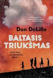 Baltasis triukšmas kaina