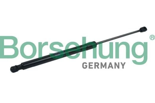 Dujinė spyruoklė, bagažinė Borsehung B18445