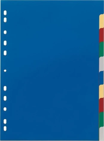 Durable DURABLE Ordnerregister PP blanko/2x5fbg f 10 Blatt