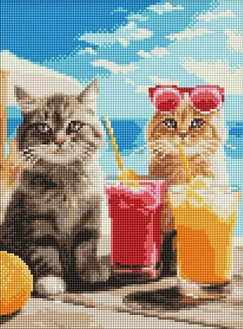 Norimpex Diamond Mosaic - Vaizdinga žemė 30x40cm