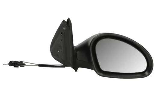 BLIC 5402-04-1138997P Wing mirror