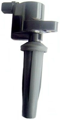 Ritė, uždegimas MAGNETI MARELLI 060717105012