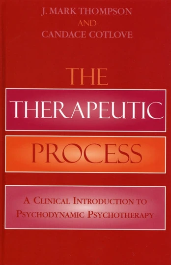 Therapeutic Process