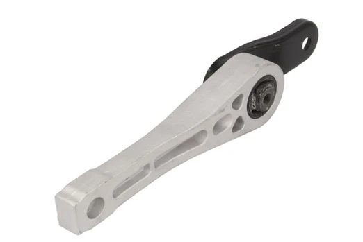 Variklio montavimas TEDGUM TED65969