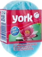 Dušo kempinė York beauty