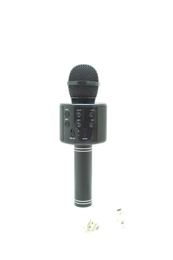 Mikrofonas karaoke WS-858