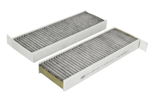 Salono filtras MANN-FILTER FP 29 003-2