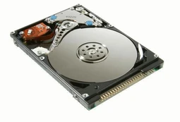 Kietasis diskas (HDD) CoreParts MUXMS-00030, 2.5", 40 GB kaina