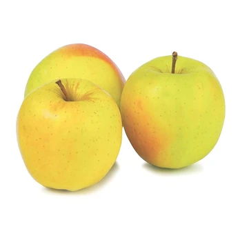 Obuoliai GOLDEN