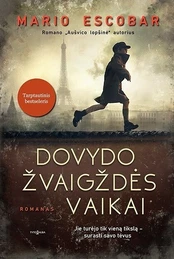 Dovydo žvaigždės vaikai kaina