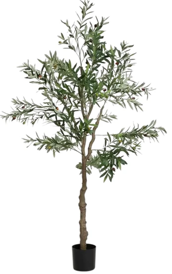 Dirbtinis augalas vazone, alyvmedis Homla Basic Greenora, žalia sp., 180 cm