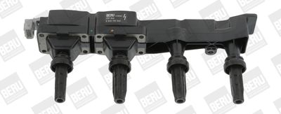 Ritė, uždegimas BorgWarner (BERU) ZSE046