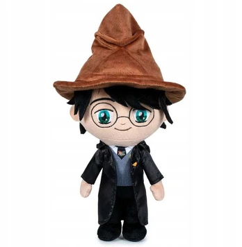 Harry Potter First Year Harry