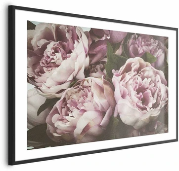 Artgeist Plakatas - Rožinė Peonies