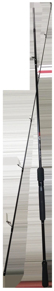 Spiningas 210cm Pro Catch