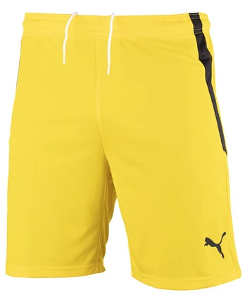 Šortai vyrams PUMA teamLIGA 704924 07