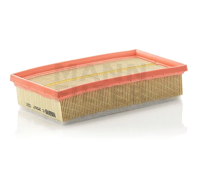 Oro filtras C2567