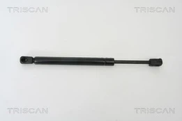 TRISCAN 871029260 Dujinė spyruoklė, bagažinė