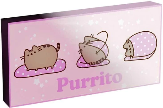 Pyramid Pusheen light up canvas