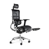 Ergonomic Chair DIABLO V-MASTER: black kaina
