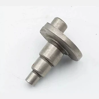 Ekscentrinis
