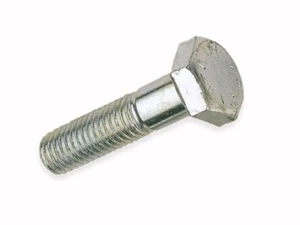 Varžtas DIN 931 Haushalt, 10 mm x 100 mm, 2 vnt.