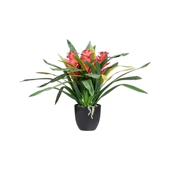 Dirbtinė gėlė GURMANIA, 50 cm