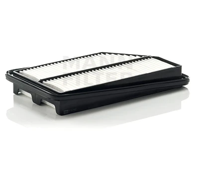 Oro filtras C31005