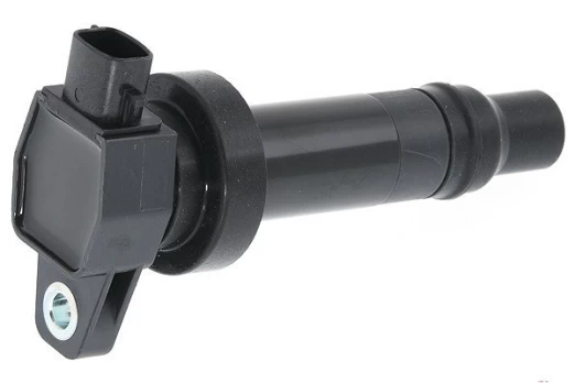 Ritė, uždegimas MAGNETI MARELLI 060717111012