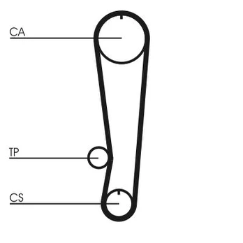 Paskirstymo diržas CONTINENTAL CTAM CT808