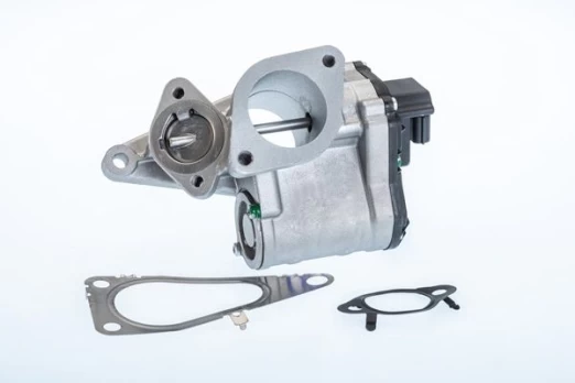 ERG vožtuvas BorgWarner (Wahler) 710968R