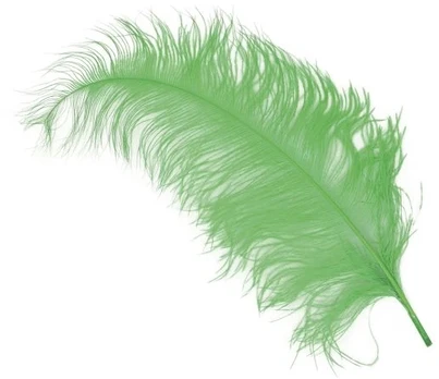 Fiesta Žalios stručio plunksnos 45 - 60 cm, 12 vnt.
