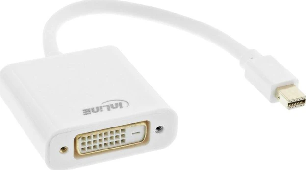 Adapteris AV InLine DisplayPort Mini – DVI-D balta (17194K)