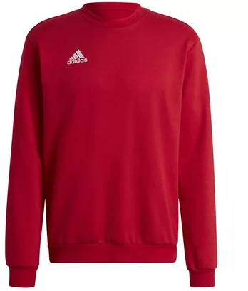 Adidas Entrada 22 Džemperis Vyrams M HB0577