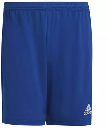 Adidas Entrada 22 M HG6294 šortai
