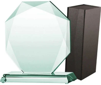 Tryumf „Triumph Glass Trophy“ su dėklu (G020)