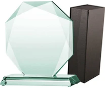 Tryumf „Triumph Glass Trophy“ su dėklu (G020) kaina
