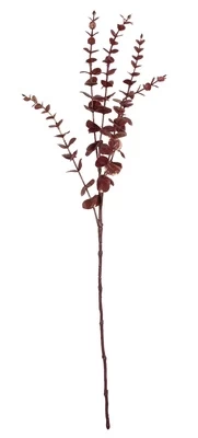 Dirbtinė šakelė, eukaliptas Splendid, bordo, 730 mm