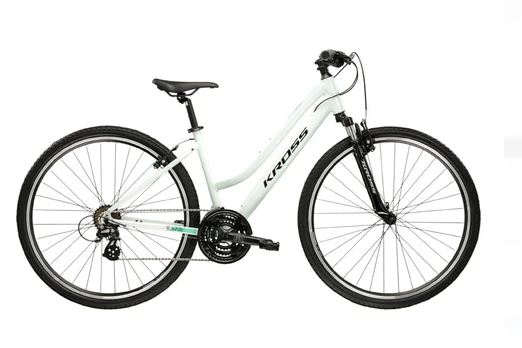 Dviratis KROSS Evado 2.0 D Mint-Black Gloss 28
