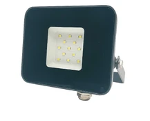 Prožektorius Standart E024EI, 10 W, 800 lm, 4000 °K, IP65, pilkas kaina