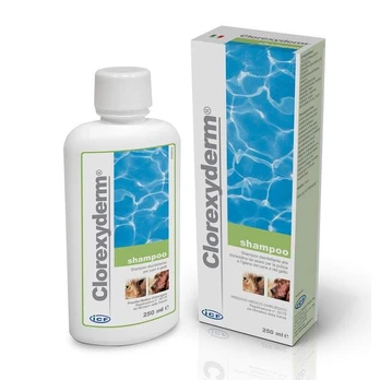 I.C.F. Clorexyderm Shampoo 4% dezinfekuojantis šampūnas, 250 ml