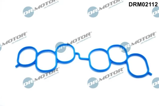 Tarpiklis, įsiurbimo kolektorius Dr.Motor Automotive DRM02112