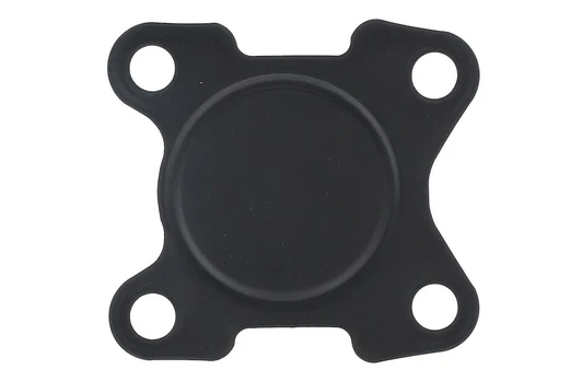EGR vožtuvo tarpinė AJU01388300